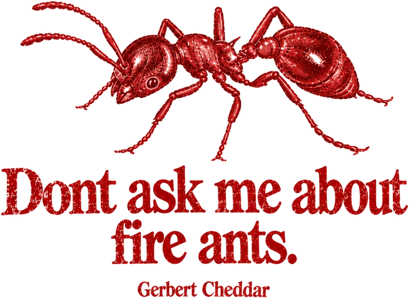 The design: a red fire ant above the words “Dont ask me about fire ants”, signed Gerbert Cheddar